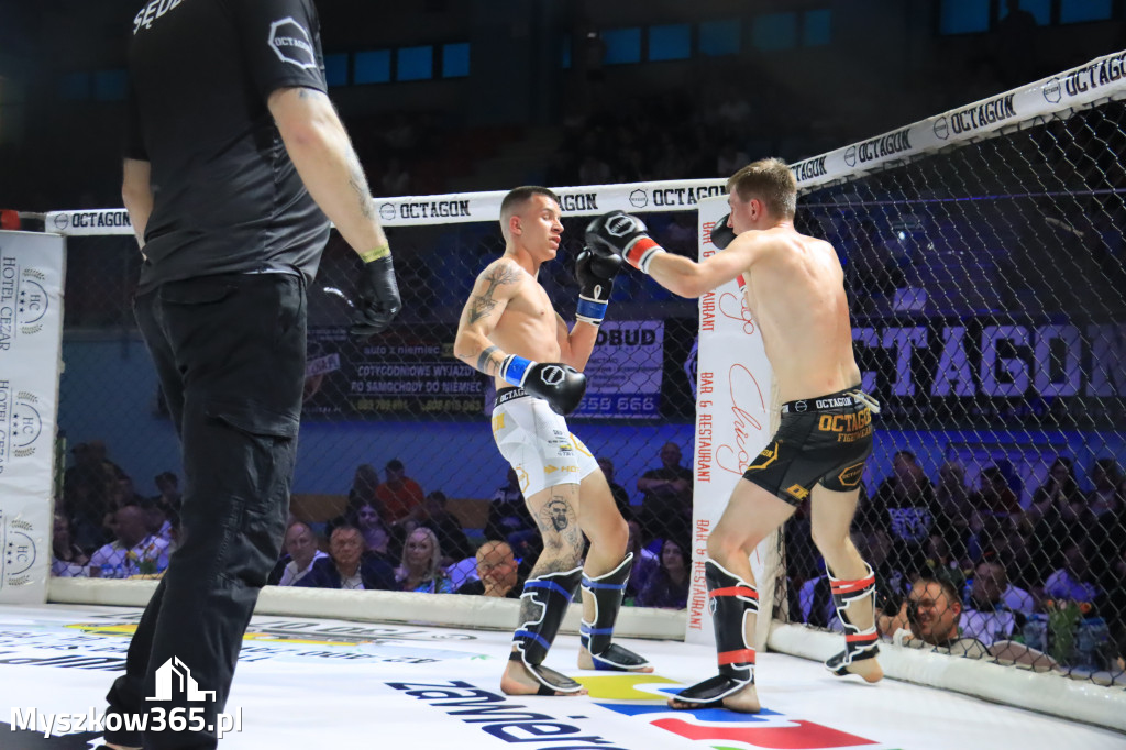 Za nami Gala Octagon Fight League 11 zdjęcia część 1 Zapraszamy do oglądania