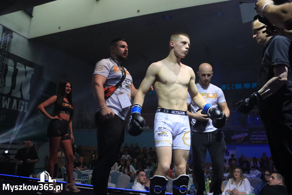Za nami Gala Octagon Fight League 11 zdjęcia część 1 Zapraszamy do oglądania