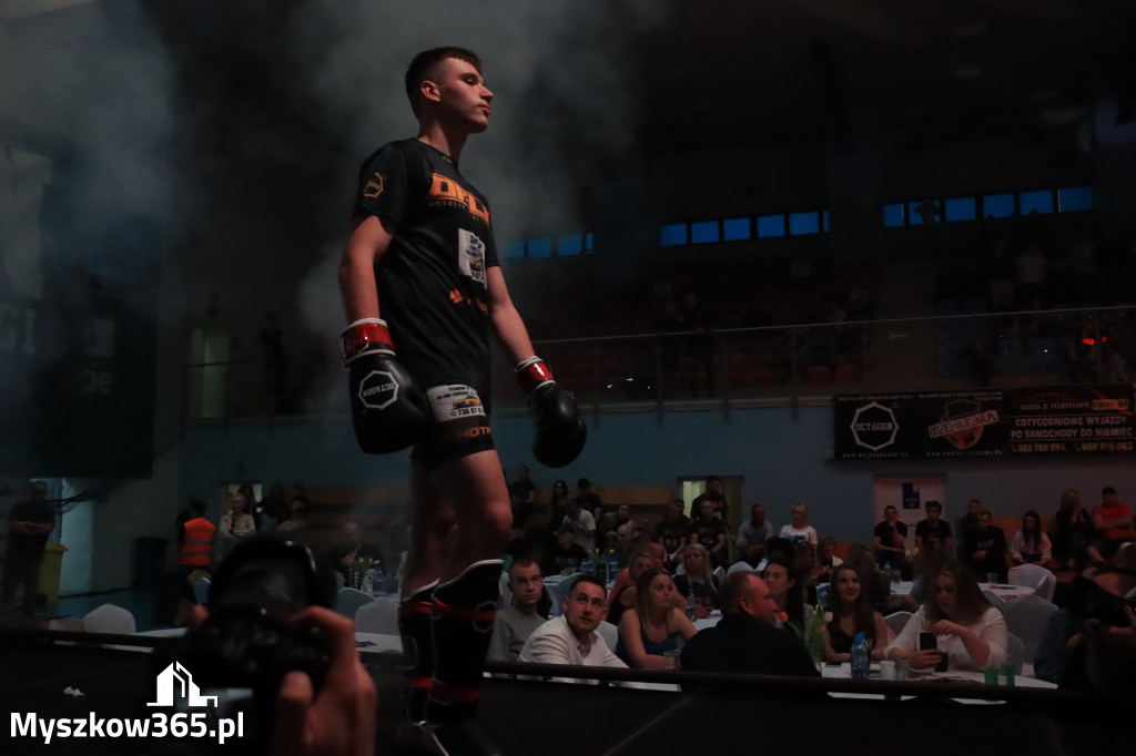 Za nami Gala Octagon Fight League 11 zdjęcia część 1 Zapraszamy do oglądania