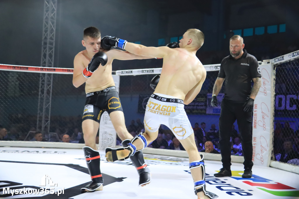 Za nami Gala Octagon Fight League 11 zdjęcia część 1 Zapraszamy do oglądania