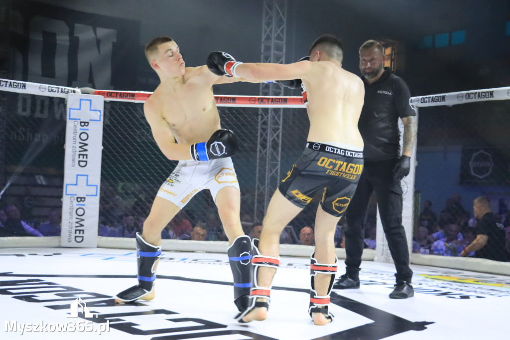 Za nami Gala Octagon Fight League 11 zdjęcia część 1 Zapraszamy do oglądania