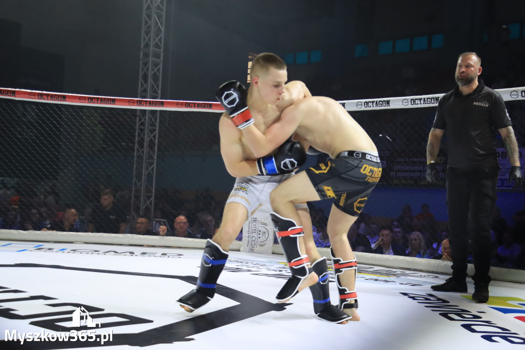 Za nami Gala Octagon Fight League 11 zdjęcia część 1 Zapraszamy do oglądania