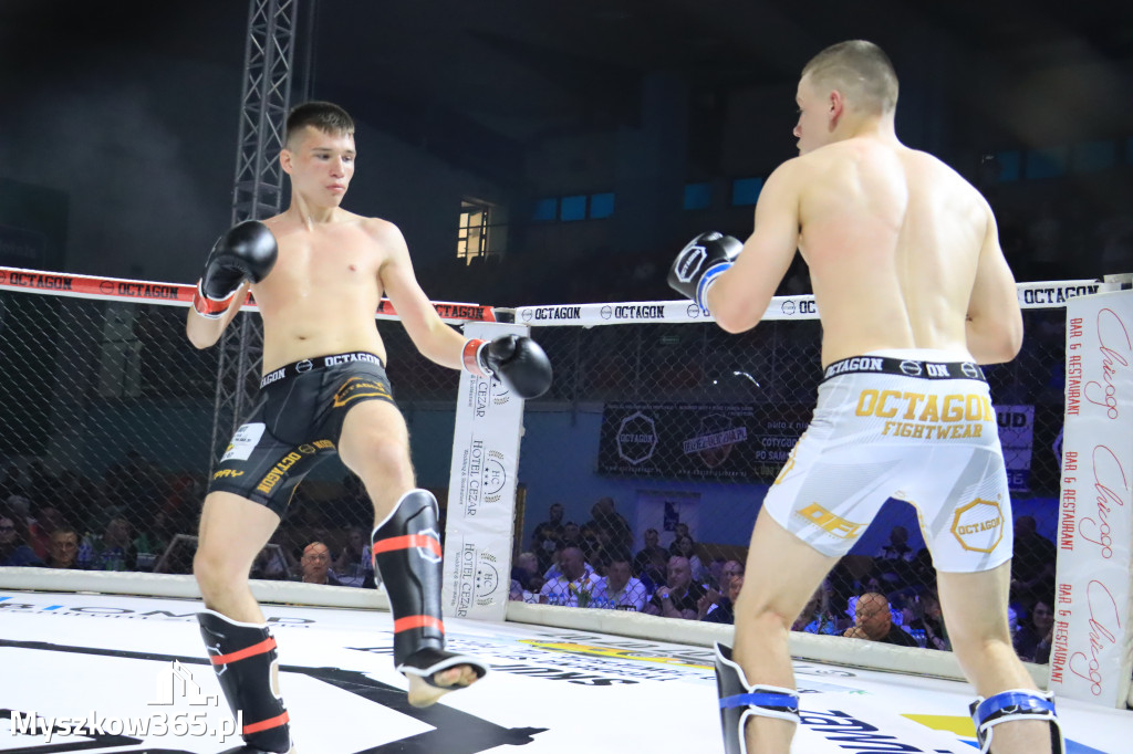 Za nami Gala Octagon Fight League 11 zdjęcia część 1 Zapraszamy do oglądania