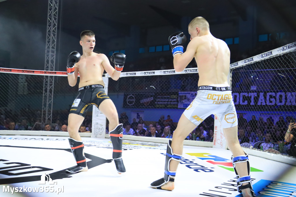 Za nami Gala Octagon Fight League 11 zdjęcia część 1 Zapraszamy do oglądania