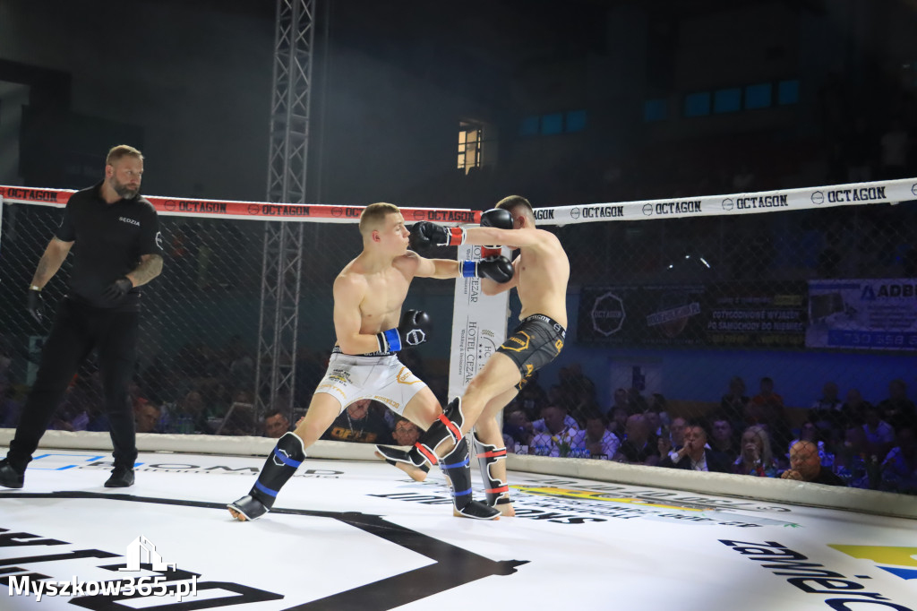 Za nami Gala Octagon Fight League 11 zdjęcia część 1 Zapraszamy do oglądania