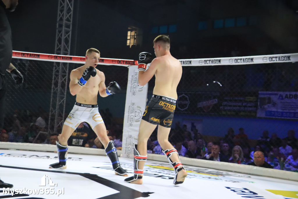 Za nami Gala Octagon Fight League 11 zdjęcia część 1 Zapraszamy do oglądania