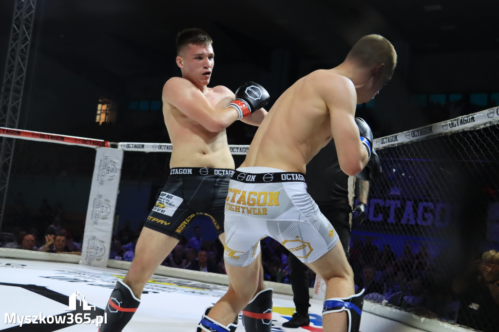 Za nami Gala Octagon Fight League 11 zdjęcia część 1 Zapraszamy do oglądania