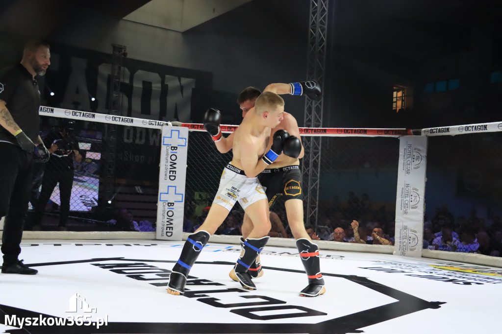 Za nami Gala Octagon Fight League 11 zdjęcia część 1 Zapraszamy do oglądania
