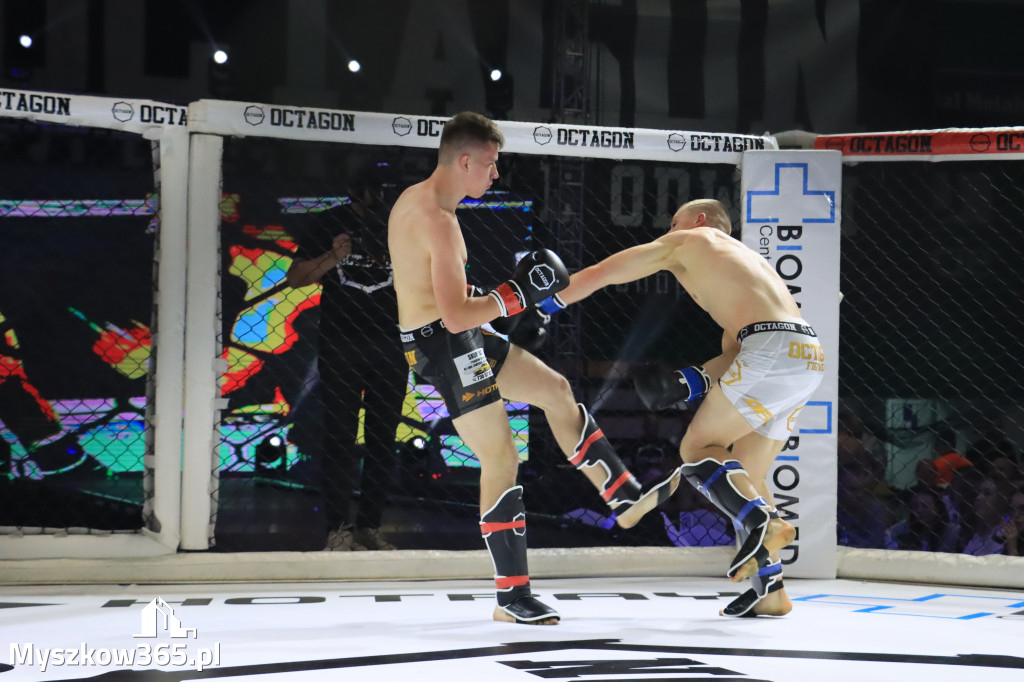 Za nami Gala Octagon Fight League 11 zdjęcia część 1 Zapraszamy do oglądania