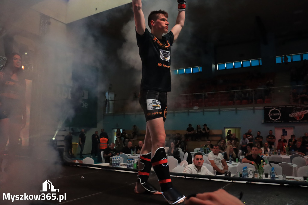 Za nami Gala Octagon Fight League 11 zdjęcia część 1 Zapraszamy do oglądania
