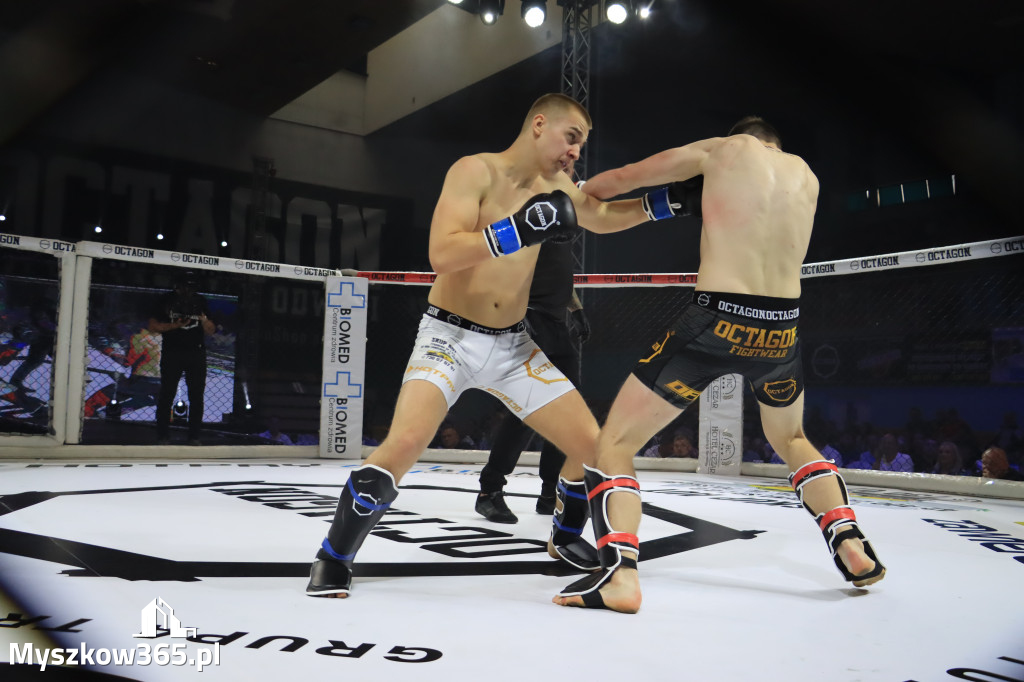 Za nami Gala Octagon Fight League 11 zdjęcia część 1 Zapraszamy do oglądania