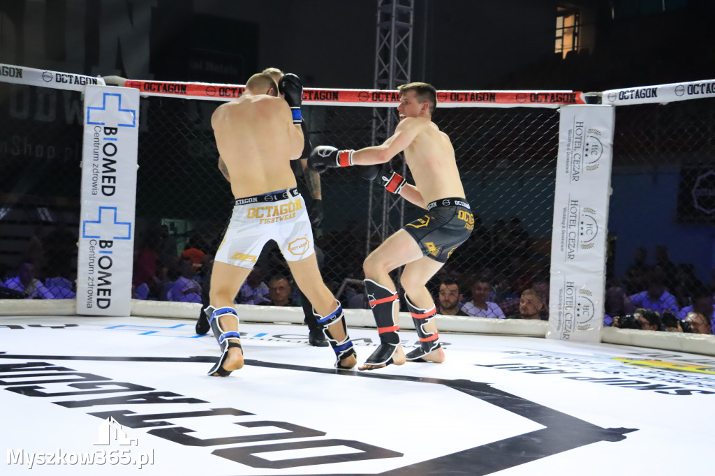 Za nami Gala Octagon Fight League 11 zdjęcia część 1 Zapraszamy do oglądania