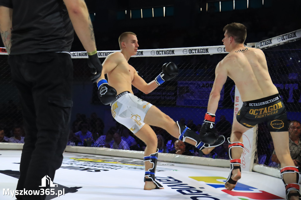 Za nami Gala Octagon Fight League 11 zdjęcia część 1 Zapraszamy do oglądania