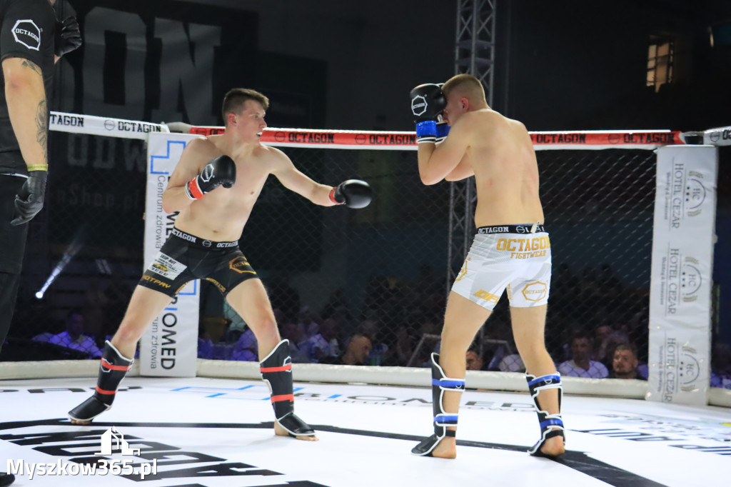 Za nami Gala Octagon Fight League 11 zdjęcia część 1 Zapraszamy do oglądania