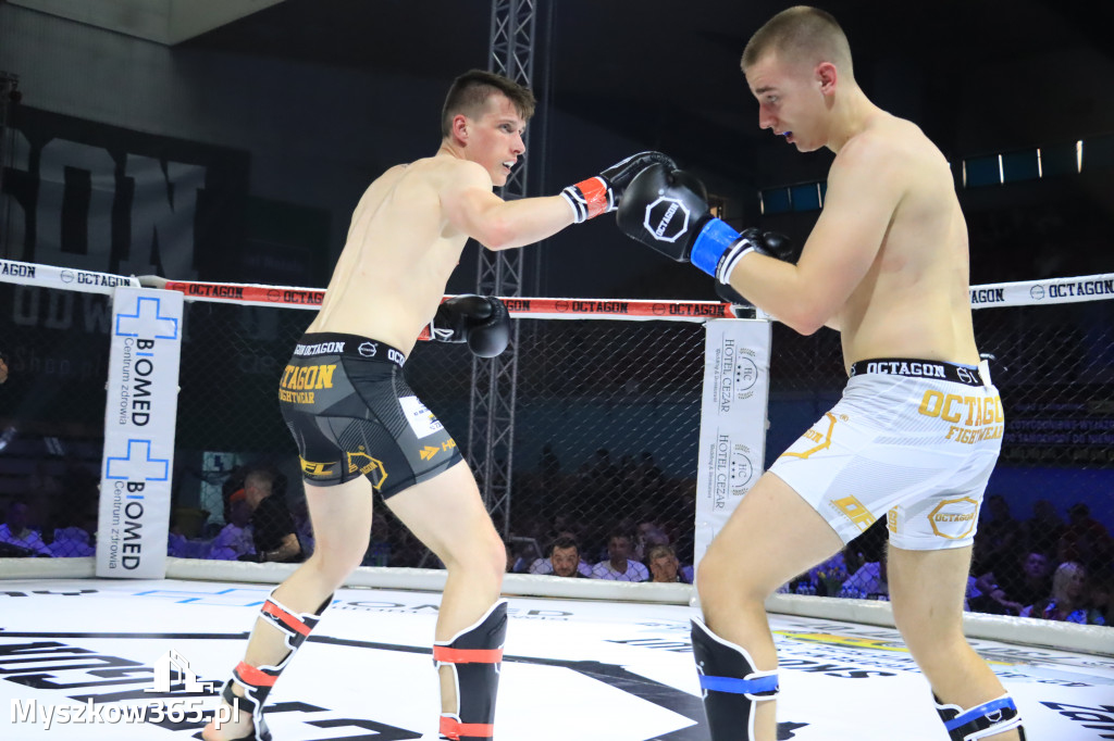 Za nami Gala Octagon Fight League 11 zdjęcia część 1 Zapraszamy do oglądania