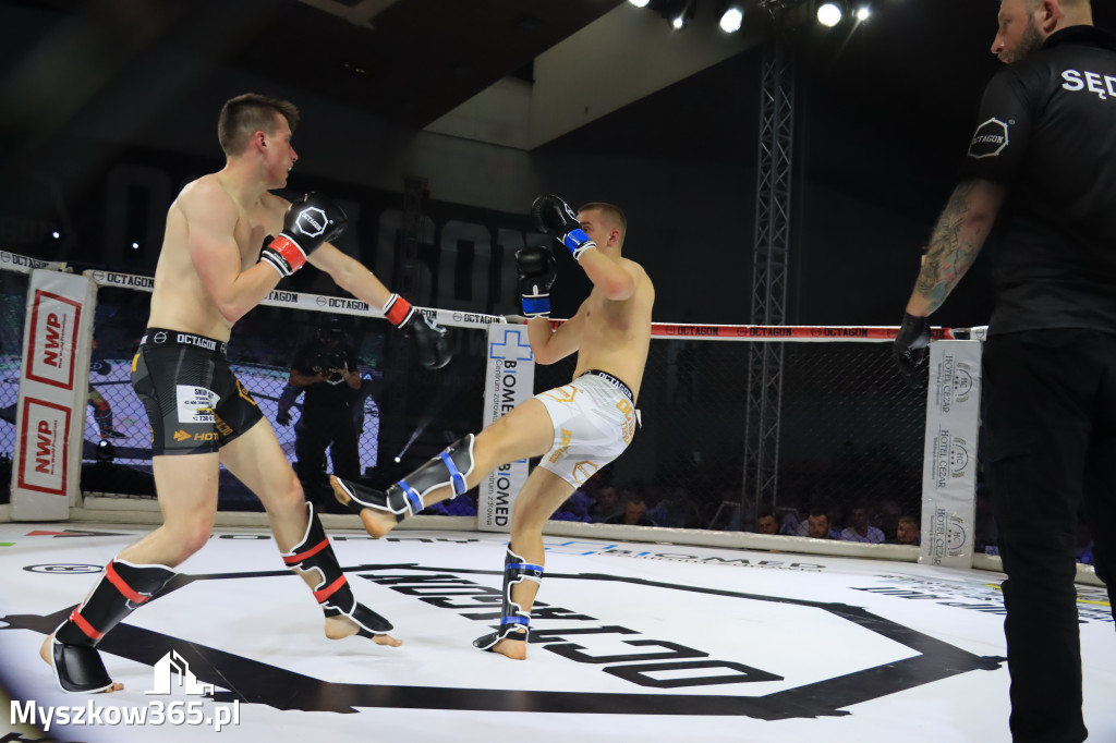 Za nami Gala Octagon Fight League 11 zdjęcia część 1 Zapraszamy do oglądania