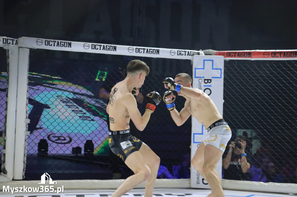 Za nami Gala Octagon Fight League 11 zdjęcia część 1 Zapraszamy do oglądania