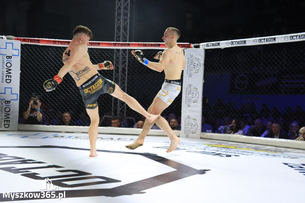 Za nami Gala Octagon Fight League 11 zdjęcia część 1 Zapraszamy do oglądania