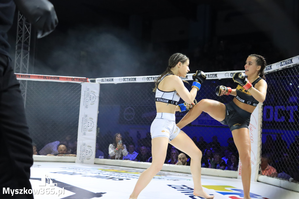 Za nami Gala Octagon Fight League 11 zdjęcia część 1 Zapraszamy do oglądania
