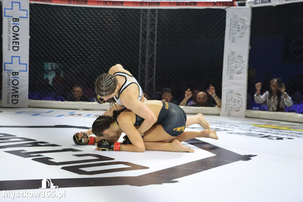 Za nami Gala Octagon Fight League 11 zdjęcia część 1 Zapraszamy do oglądania