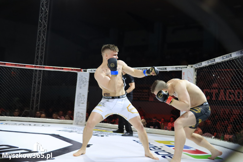 Za nami Gala Octagon Fight League 11 zdjęcia część 1 Zapraszamy do oglądania