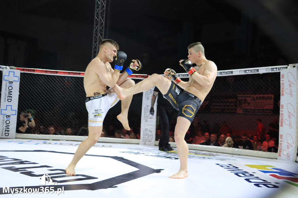 Za nami Gala Octagon Fight League 11 zdjęcia część 1 Zapraszamy do oglądania