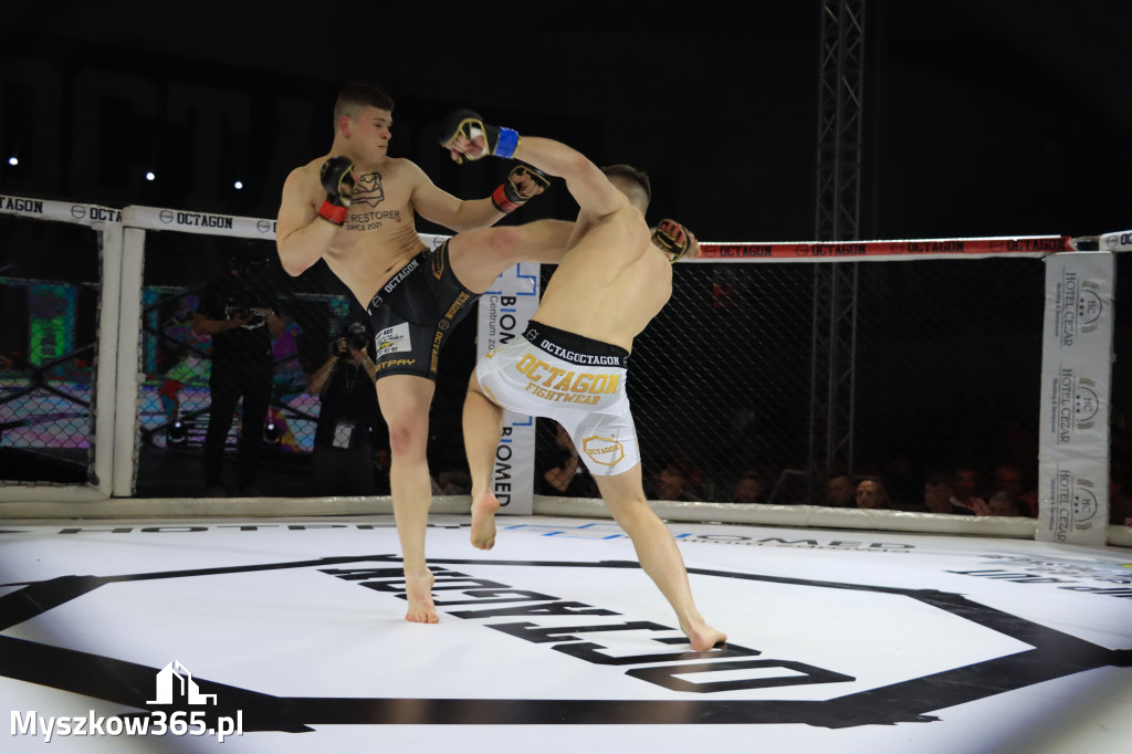 Za nami Gala Octagon Fight League 11 zdjęcia część 1 Zapraszamy do oglądania