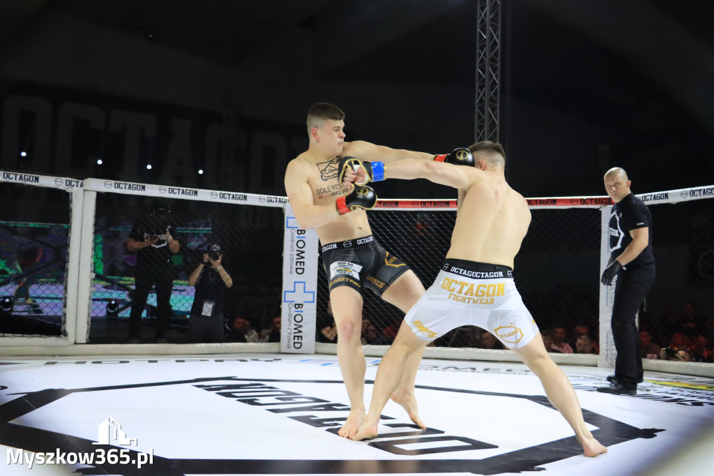 Za nami Gala Octagon Fight League 11 zdjęcia część 1 Zapraszamy do oglądania