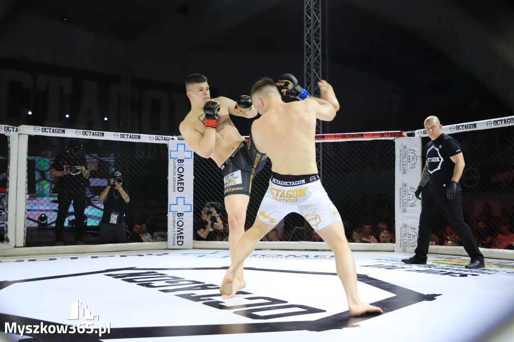 Za nami Gala Octagon Fight League 11 zdjęcia część 1 Zapraszamy do oglądania