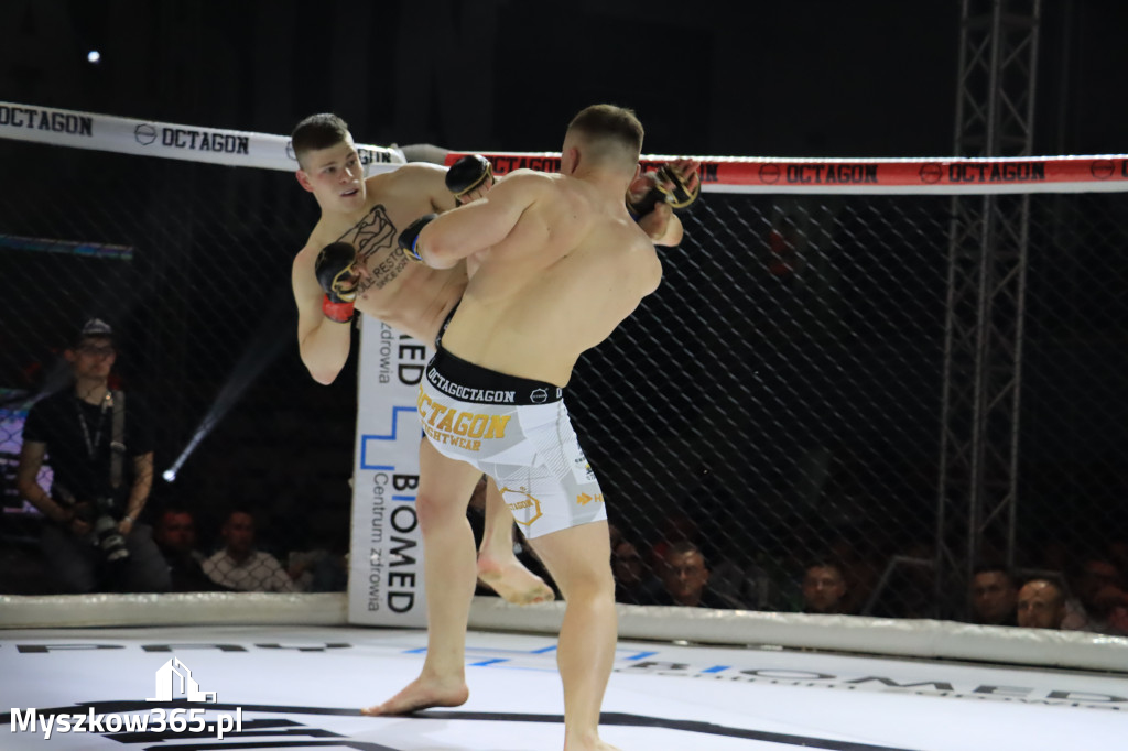 Za nami Gala Octagon Fight League 11 zdjęcia część 1 Zapraszamy do oglądania