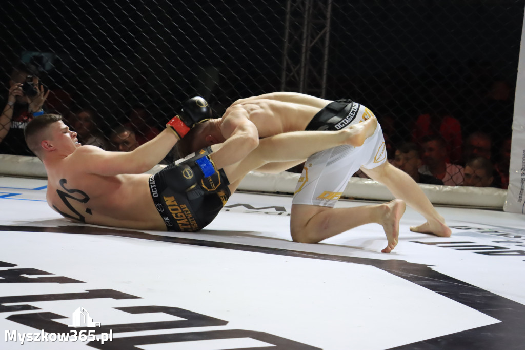 Za nami Gala Octagon Fight League 11 zdjęcia część 1 Zapraszamy do oglądania