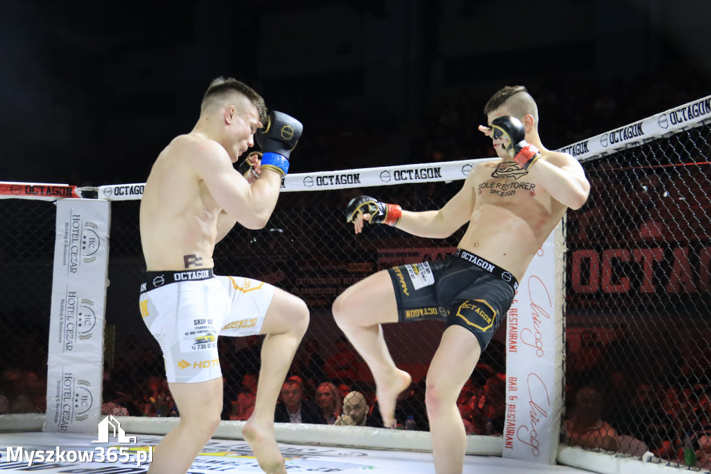 Za nami Gala Octagon Fight League 11 zdjęcia część 1 Zapraszamy do oglądania