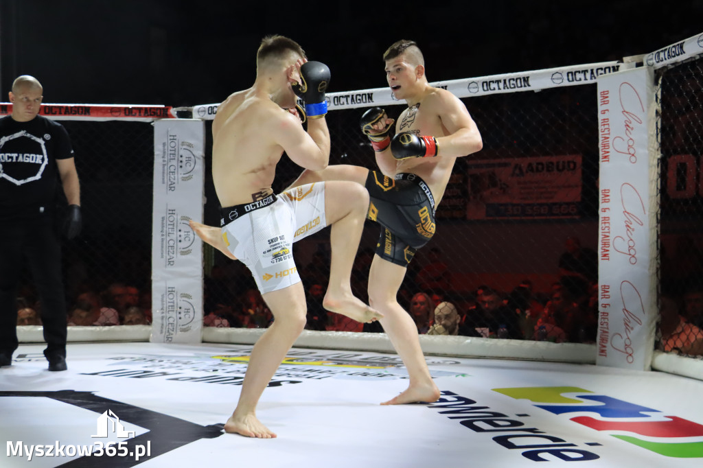 Za nami Gala Octagon Fight League 11 zdjęcia część 1 Zapraszamy do oglądania