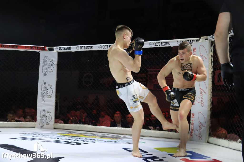 Za nami Gala Octagon Fight League 11 zdjęcia część 1 Zapraszamy do oglądania