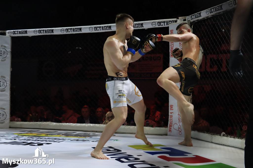 Za nami Gala Octagon Fight League 11 zdjęcia część 1 Zapraszamy do oglądania