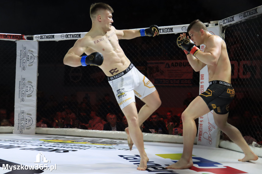 Za nami Gala Octagon Fight League 11 zdjęcia część 1 Zapraszamy do oglądania