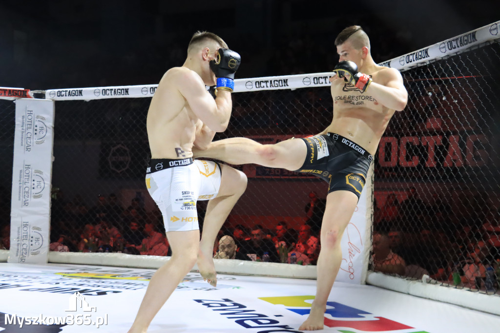 Za nami Gala Octagon Fight League 11 zdjęcia część 1 Zapraszamy do oglądania