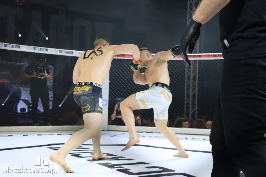 Za nami Gala Octagon Fight League 11 zdjęcia część 1 Zapraszamy do oglądania
