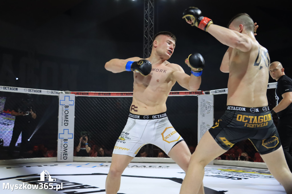 Za nami Gala Octagon Fight League 11 zdjęcia część 1 Zapraszamy do oglądania