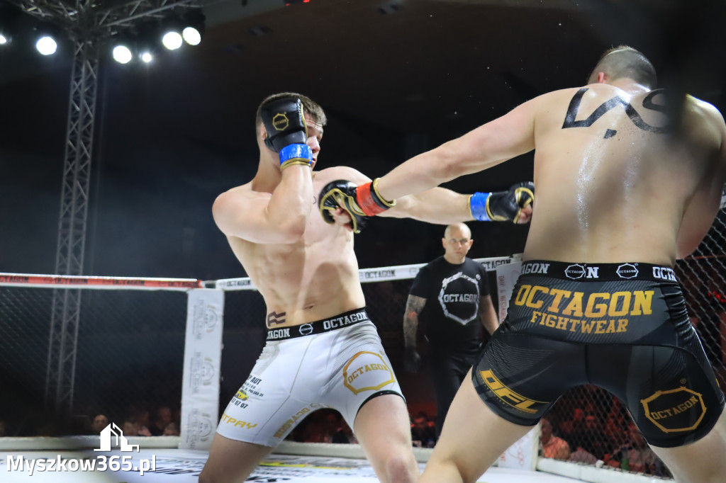 Za nami Gala Octagon Fight League 11 zdjęcia część 1 Zapraszamy do oglądania