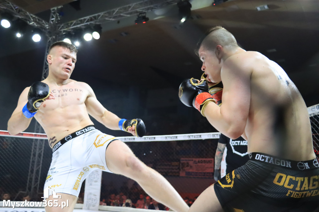 Za nami Gala Octagon Fight League 11 zdjęcia część 1 Zapraszamy do oglądania