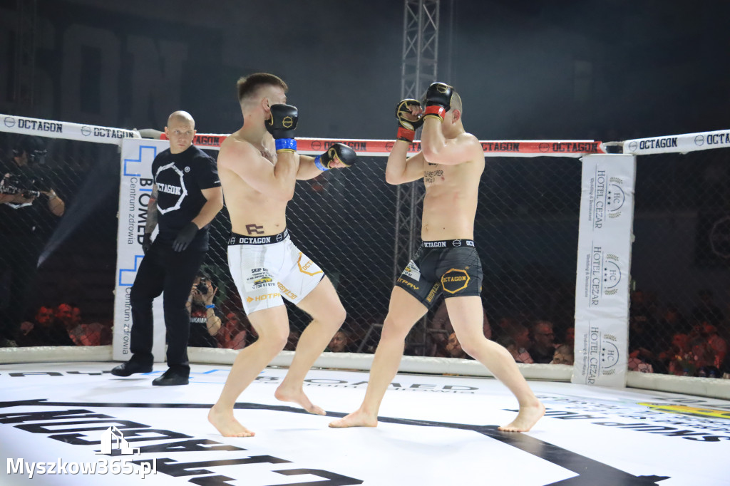 Za nami Gala Octagon Fight League 11 zdjęcia część 1 Zapraszamy do oglądania
