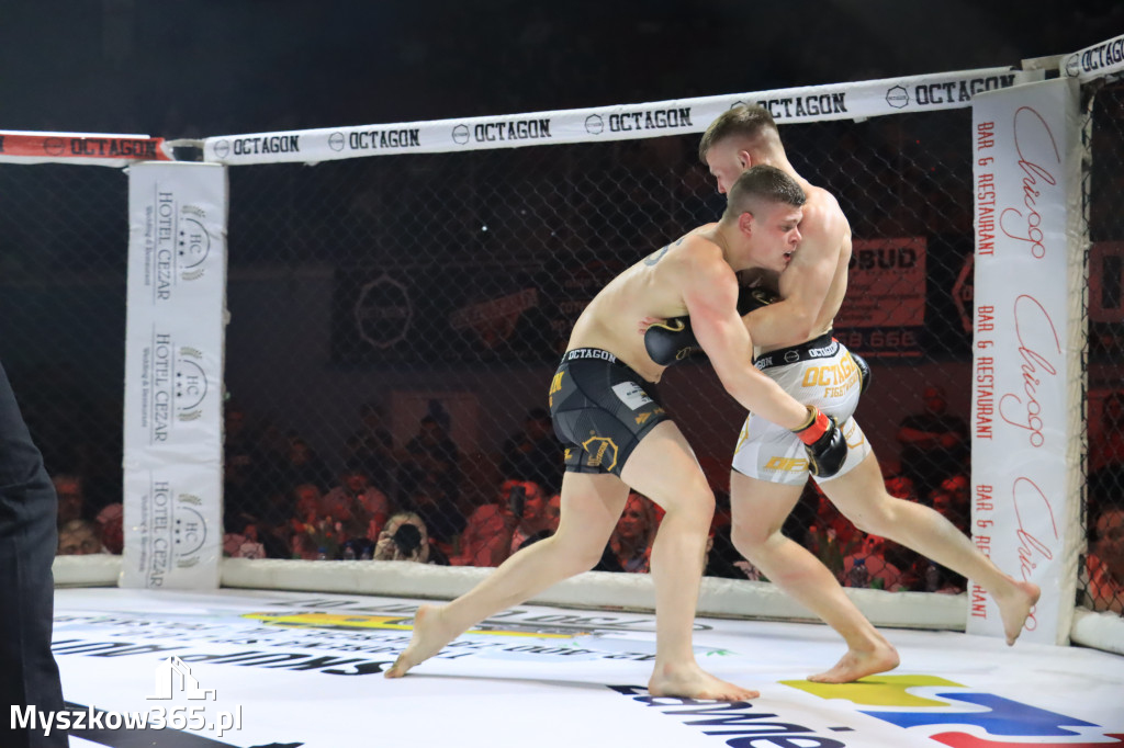 Za nami Gala Octagon Fight League 11 zdjęcia część 1 Zapraszamy do oglądania