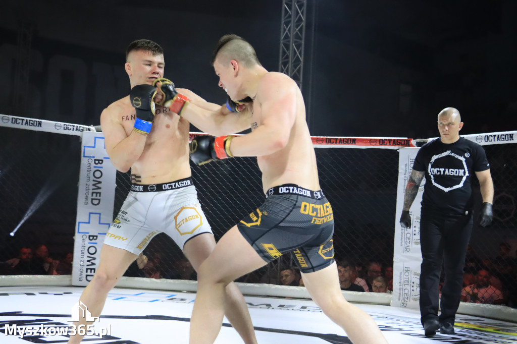Za nami Gala Octagon Fight League 11 zdjęcia część 1 Zapraszamy do oglądania