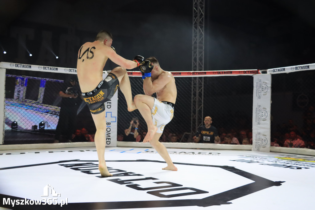 Za nami Gala Octagon Fight League 11 zdjęcia część 1 Zapraszamy do oglądania