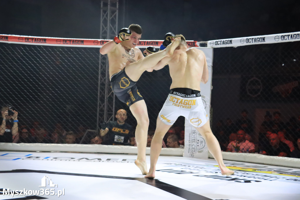 Za nami Gala Octagon Fight League 11 zdjęcia część 1 Zapraszamy do oglądania