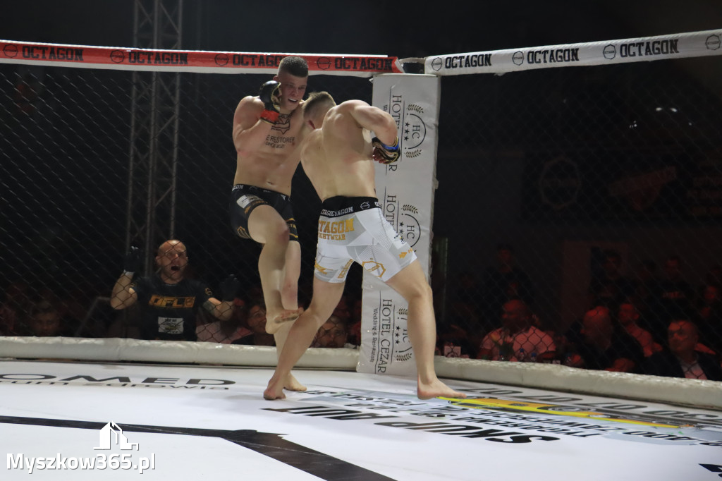 Za nami Gala Octagon Fight League 11 zdjęcia część 1 Zapraszamy do oglądania
