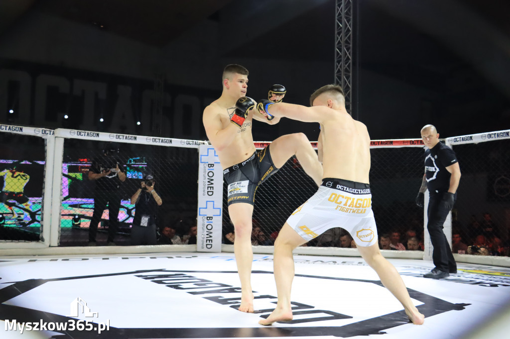 Gala Octagon Fight League 11 zdjęcia z niej! część 2