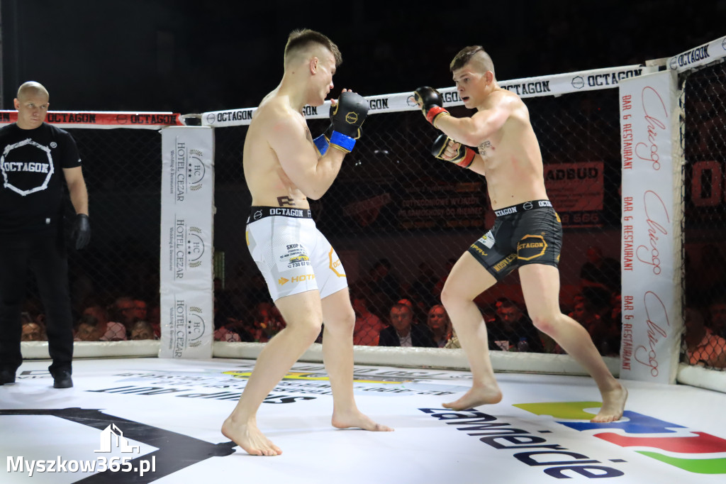 Gala Octagon Fight League 11 zdjęcia z niej! część 2