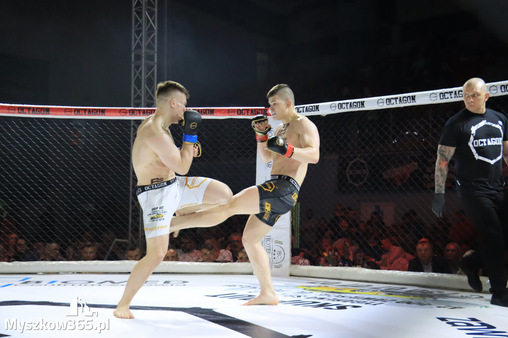 Gala Octagon Fight League 11 zdjęcia z niej! część 2